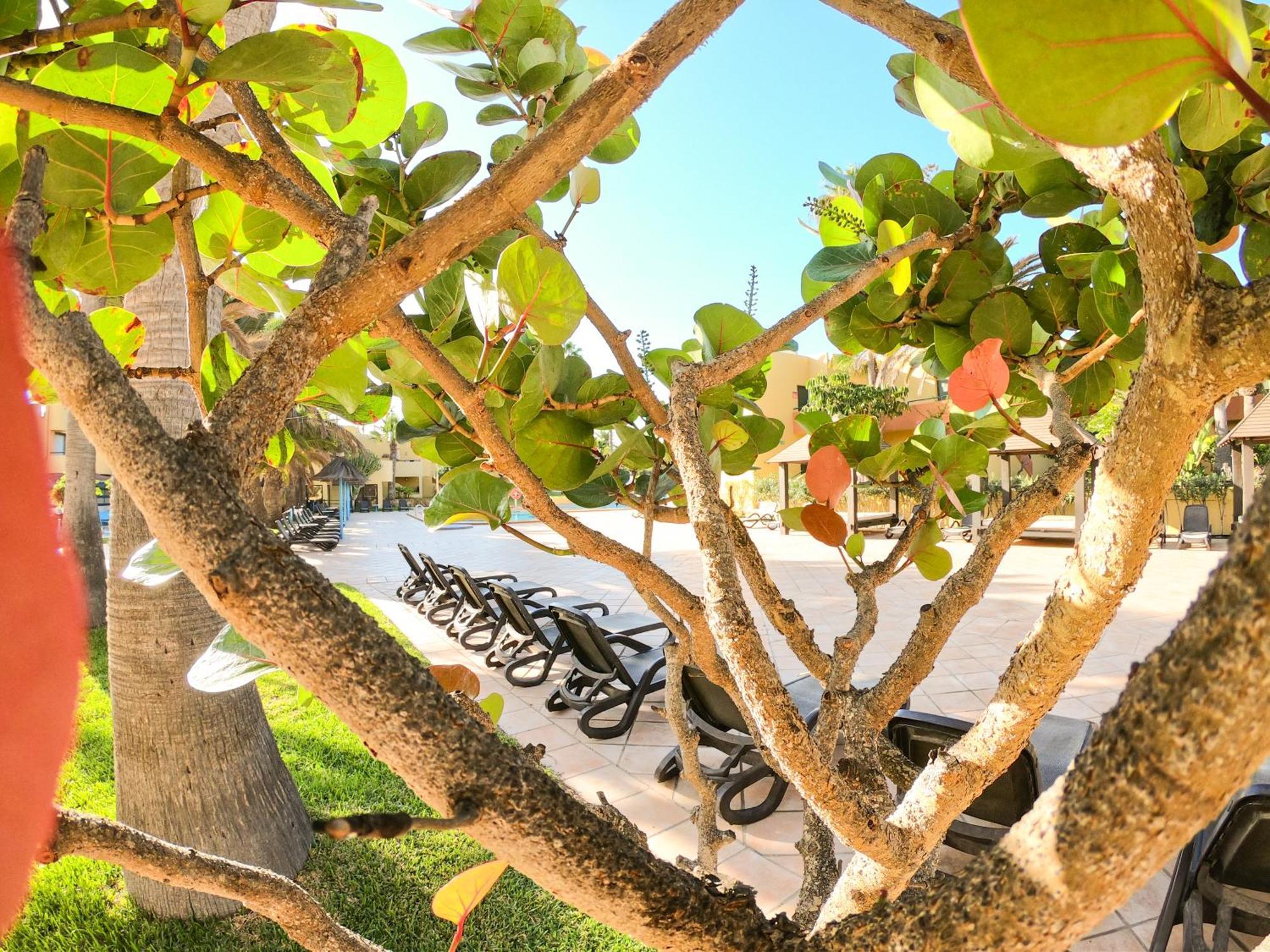 Drago 1 Atlantic Garden Apartment Corralejo Exterior foto
